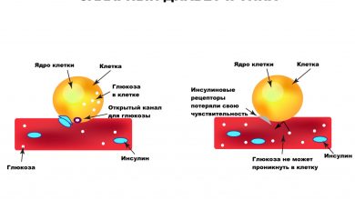 Photo of Молекулярные механизмы развития диабета
