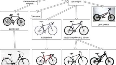 Photo of Типы рамы и их особенности