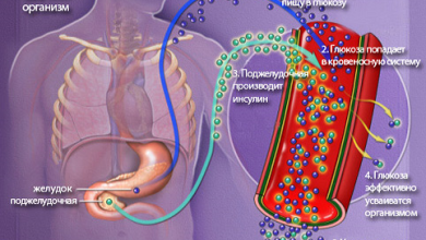 Photo of Механизм развития диабета типа 1